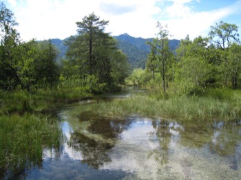  Kristallklares Wasser 